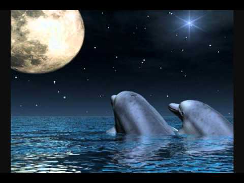 Dolphins and Moon